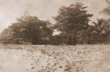 Photo I took of Mt. Plaisir 100 years ago
