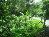 Pic of Something