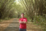 Bamboo Cathedral