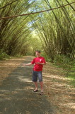 Bamboo Cathedral