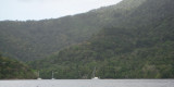 Quiet Bay to Anchor
