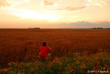 Photographing photographer photographing