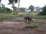 Baby Gnesh he is 3 months old.jpg