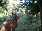 Lokking behind us.jpg