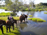 Line for the water.jpg
