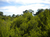 The landscape heading back.jpg