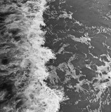 Wave, Sandbridge, VA, 2010.jpg