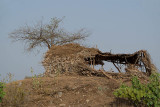 Basic Shelter