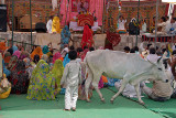 Enjoying the Sermon Orchha 02