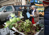 Farmer's Market - Produce