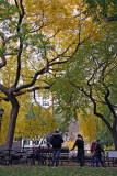 Park View