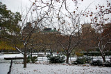 Northeast View with NYU Buildings on the Horizon