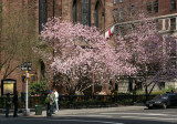 Spring Garden - Ascension Church
