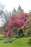 Central Park West near West 96th Street