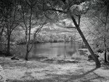 Girl by the Lake