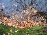 Green Hills Lake, PA 4