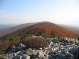 Hawk Mountain, PA 2