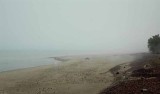 Too Foggy for a Picnic