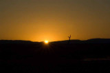 Sunrise Over the Bosque