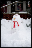 0013.The snowman our neighbors made the night before!