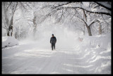 0060.The trees have been dropping snow since last night...we've all gotten caught in them!