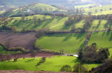 Patchwork Fields