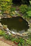 pond 9636