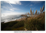 California Coast South of Monterey
