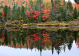 IMG_0719 Reflections.jpg