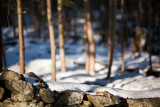 Snow on Stone Wall