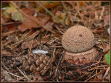 P1160115kopie.jpg