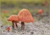 P1170705kopie.jpg