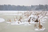 Rače ponds in winter_MG_6503-11.jpg