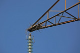 Transmission line and nest daljnovod in gnezdo_MG_0927-1.jpg