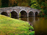 Bridge and goose, Stourhead (2078)
