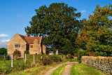 My favourite Martock walk