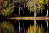 Yellows and greens, Stourhead