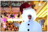 2007 Christmas at Tsim Sha Tsui, Harbour City