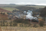 60009 at Grantshouse.jpg