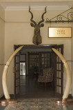 These tusks must have come from a REALLY big elephant!
