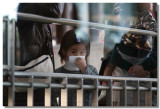 20081219 -- 210004 -- Canon 5D + 100 / 2 @ f/2, 1/40, ISO 100