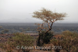 Waaba_0532.jpg