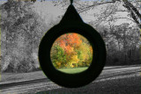 October 21, 2007 #13