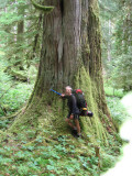 Hoh Valley