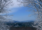 MARCH SNOWFALL - VIEW FROM REAR DECK - ISO 80