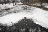 Postojna