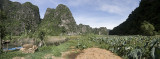 panorama, Tam Coc