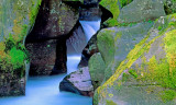Avalanche Creek Gorge, Glacier National Park, MT