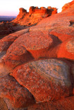 (PP 5) South Coyote Buttes Polygons, AZ