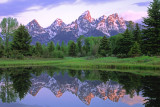 (AG26) Horns and cols, Schwabacher Landing, Grand Teton National Park, WY